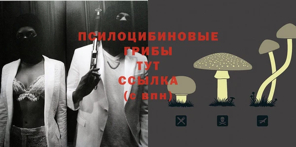 MDMA Пролетарск