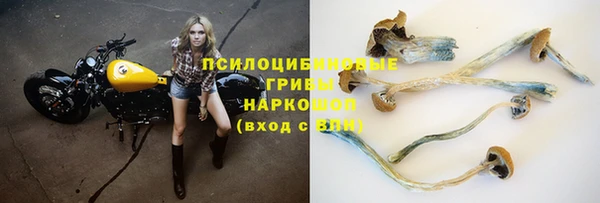 винт Протвино